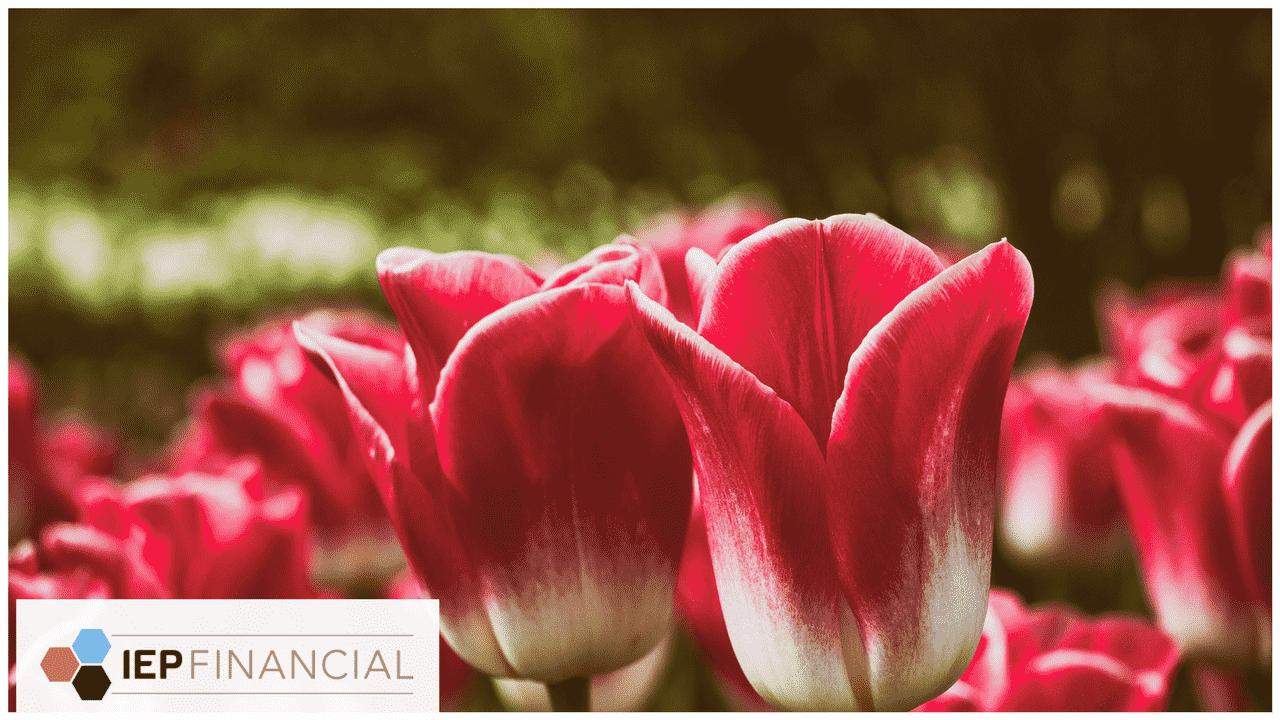 Spring Financial Newsletter